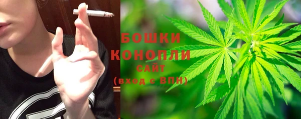 индика Вязники