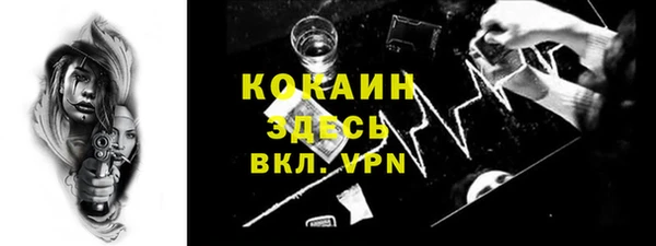 индика Вязники
