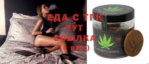 индика Вязники