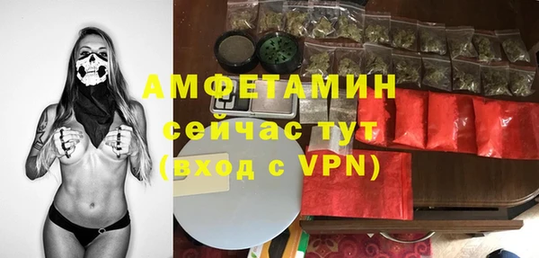 индика Вязники